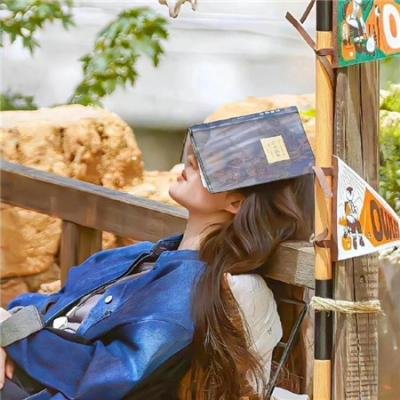 瓦尔特雷比亚假日